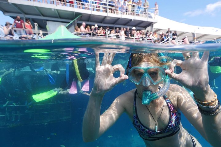 Great Barrier Reef Day Cruise from Cairns Including Snorkeling and Marine Biologist Presentation - Tourism Gold Coast